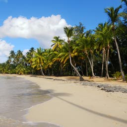 Hotels in Las Terrenas