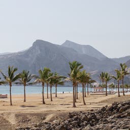 Oman-Strand-mit-Palmen-g-505891194.jpg