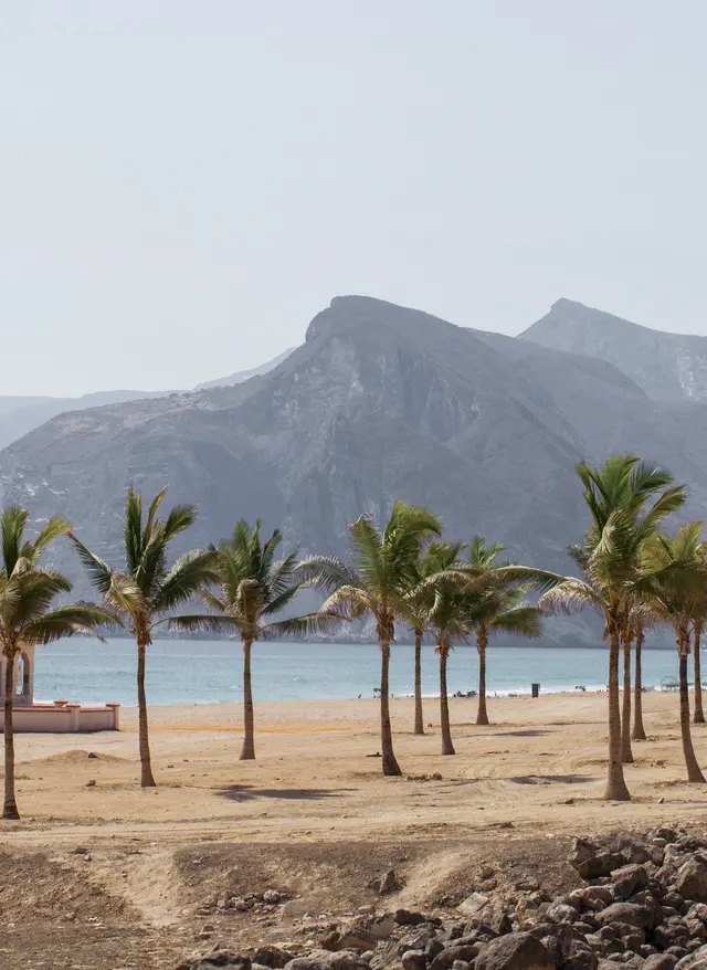 Alle Angebote im Oman Strand mit Palmen im Oman