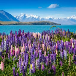 Hotels Neuseeland Südinsel