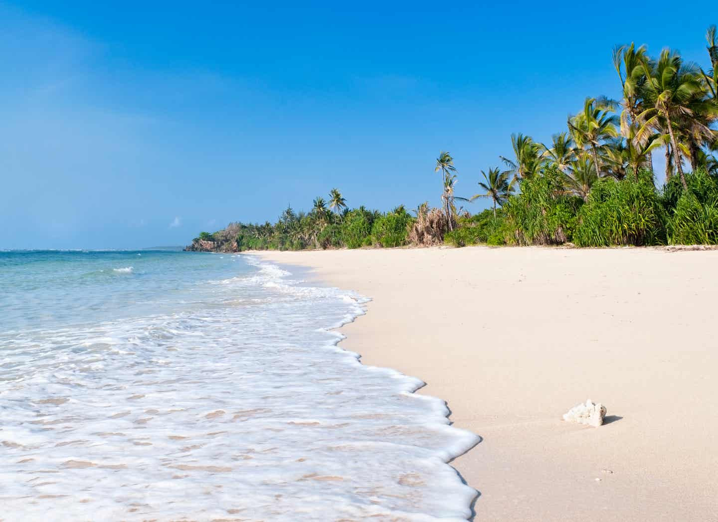Kenia Strände: Korallen und Palmen am Strand von Msambweni