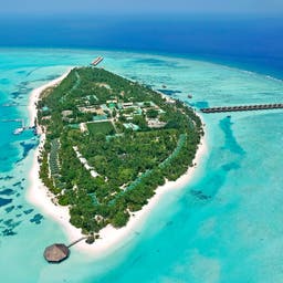 malediven-anreise-meeru-island-resort-p-t48602.jpg