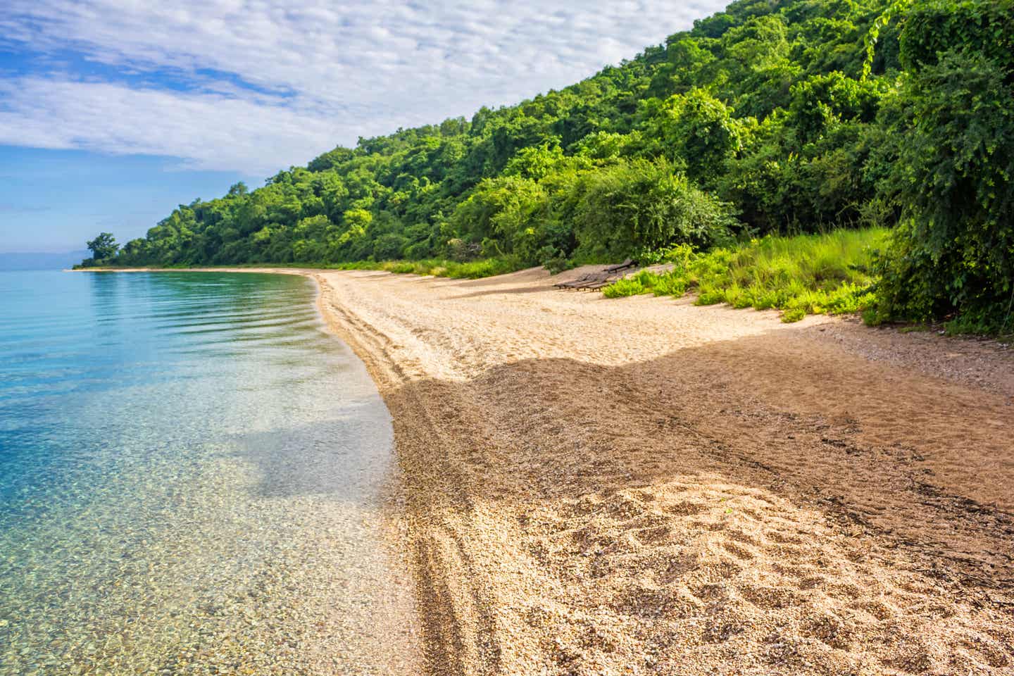 Tansania beste Reisezeit: Strand im Gobe Stream National Park