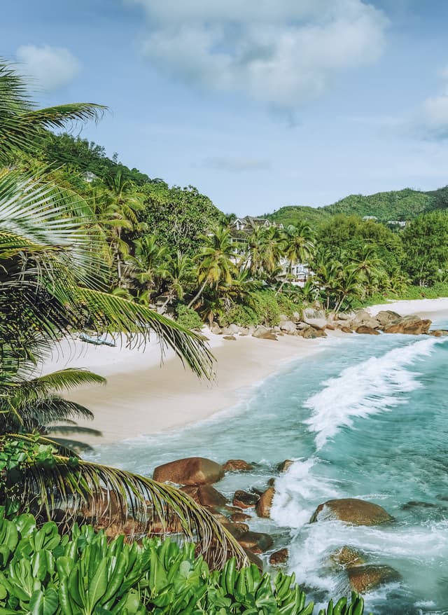 Angebote entdecken Seychellen Strand blaues Meer und Palmen