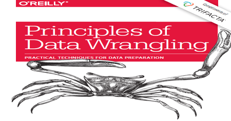 E-book: Principles of data wrangling