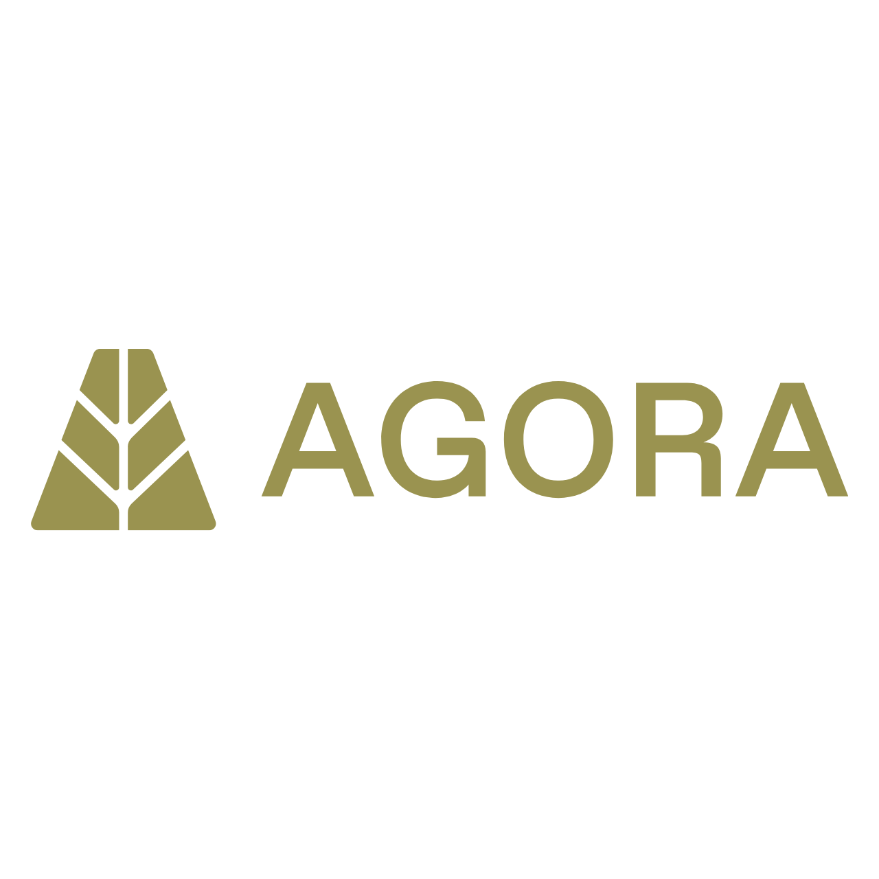 Agora raises $50m Series A, debuts white-label stablecoin product