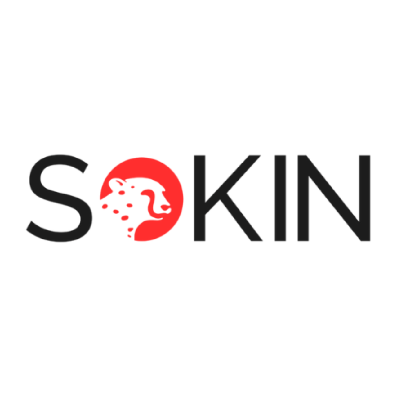 Sokin - FinTech News