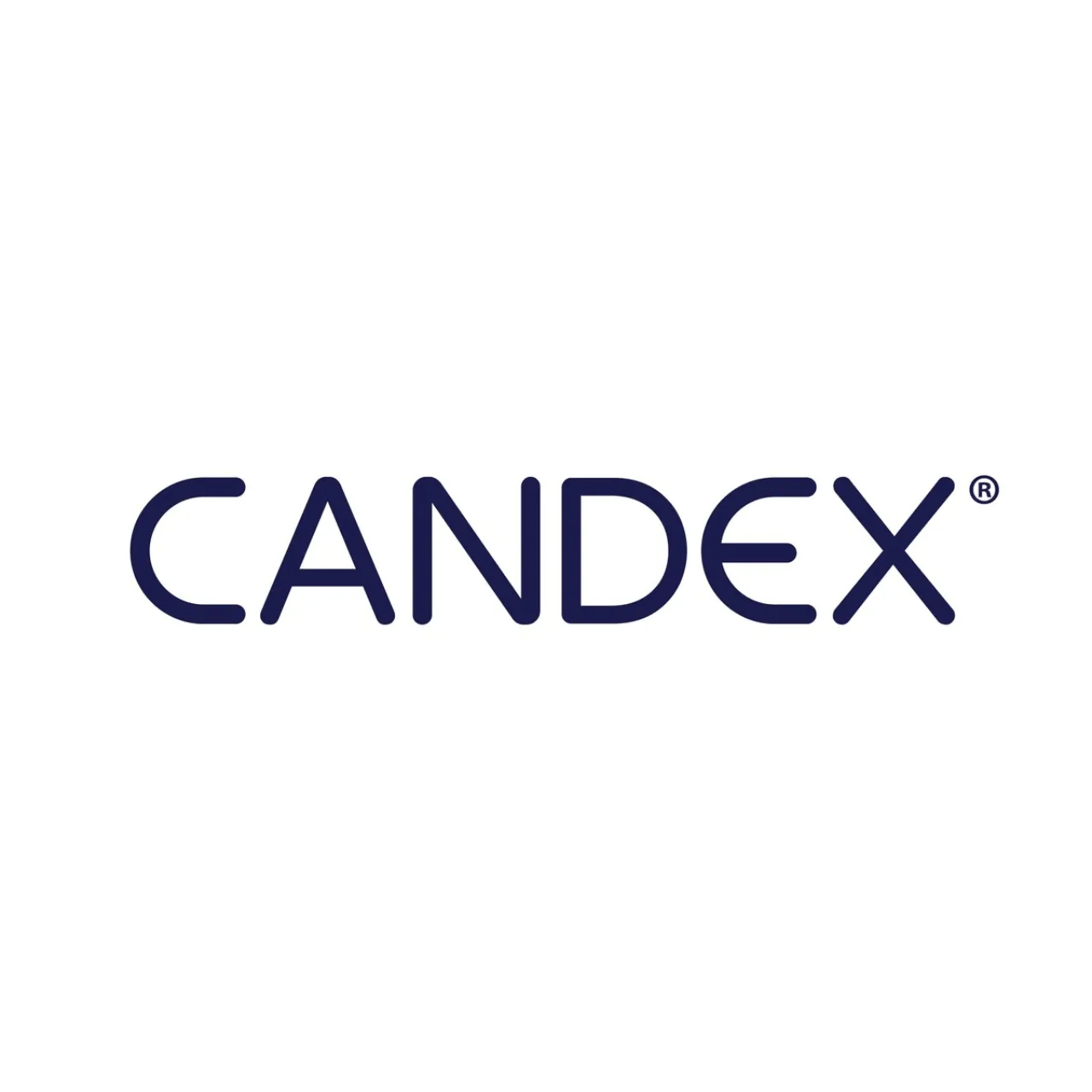 Candex Ropes HSBC invests in master vendor fintech Candex