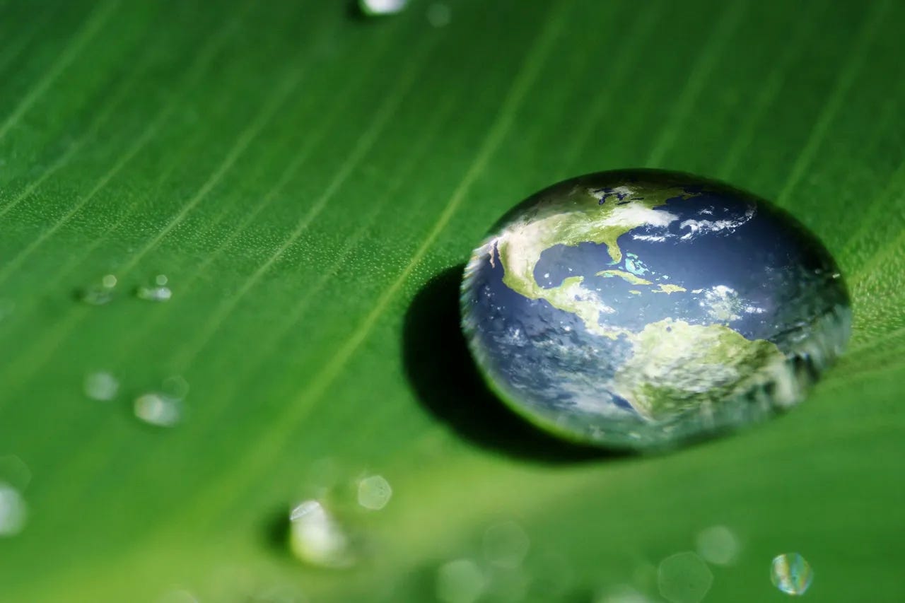 The Net-Zero Banking Alliance (NZBA) - fintech news