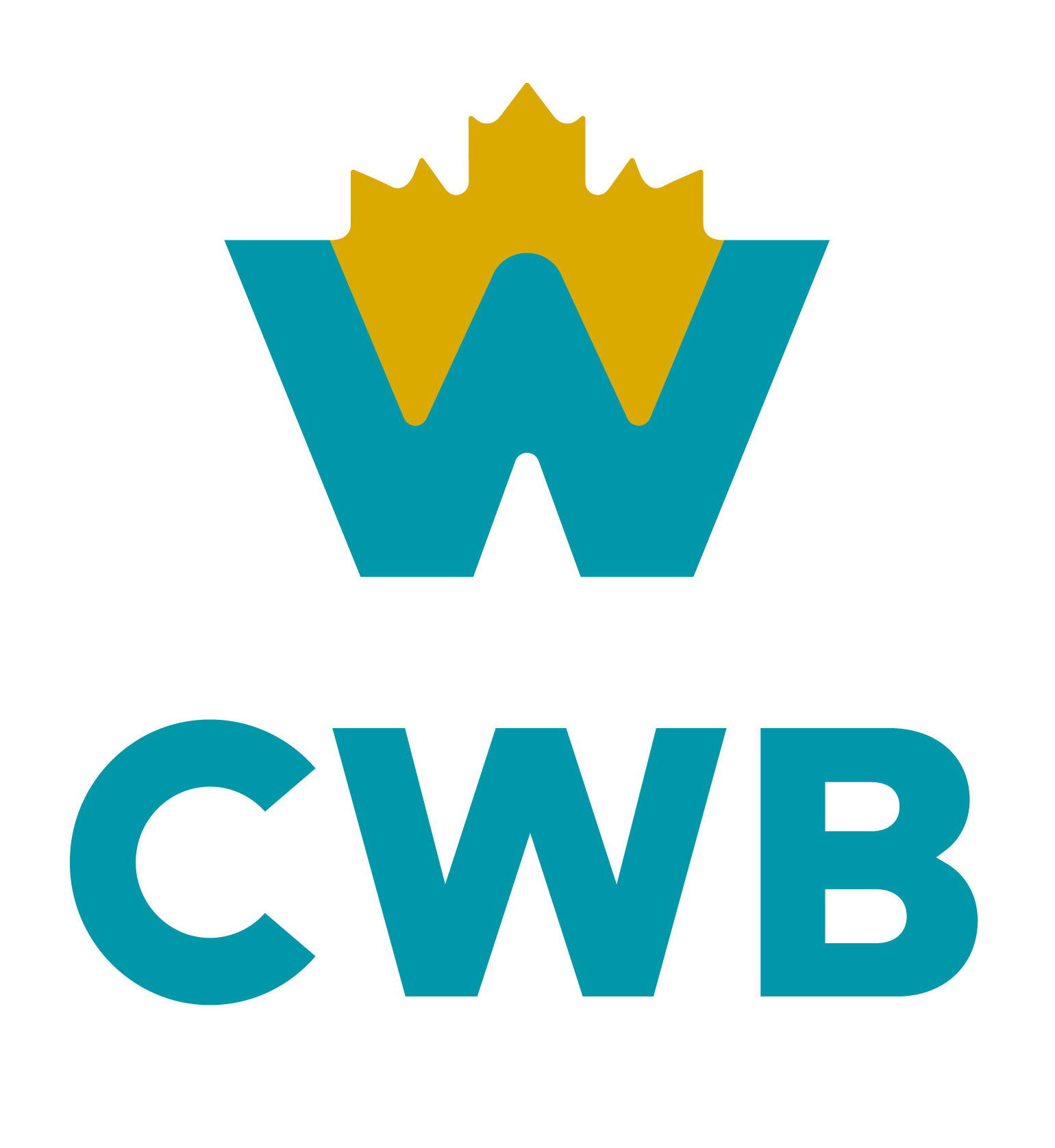 CWB expands Brim Financial partnership with new business credit card ...
