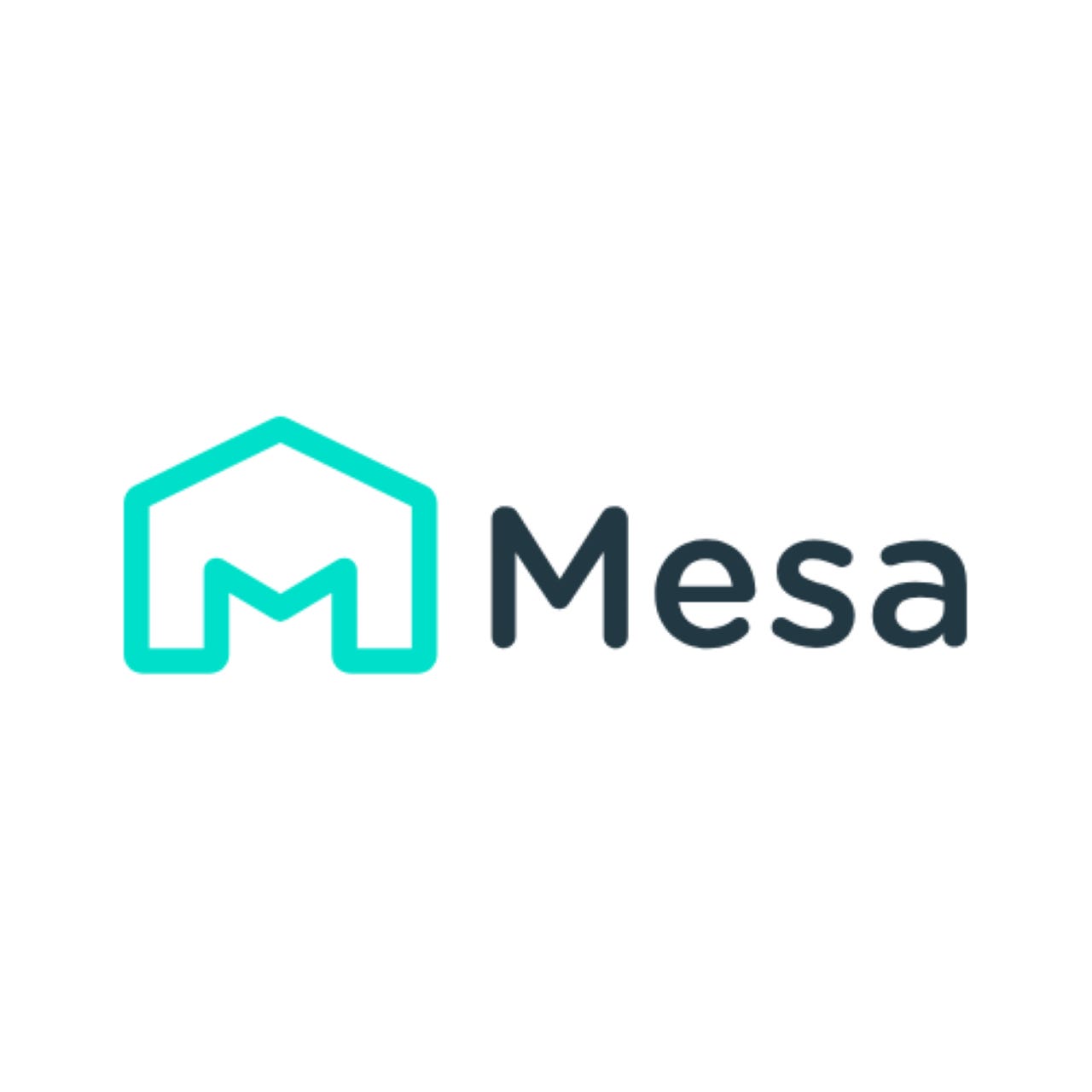 Mesa - fintech news