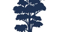 Florida’s Cypress Bank & Trust selects CSI’s NuPoint core banking system