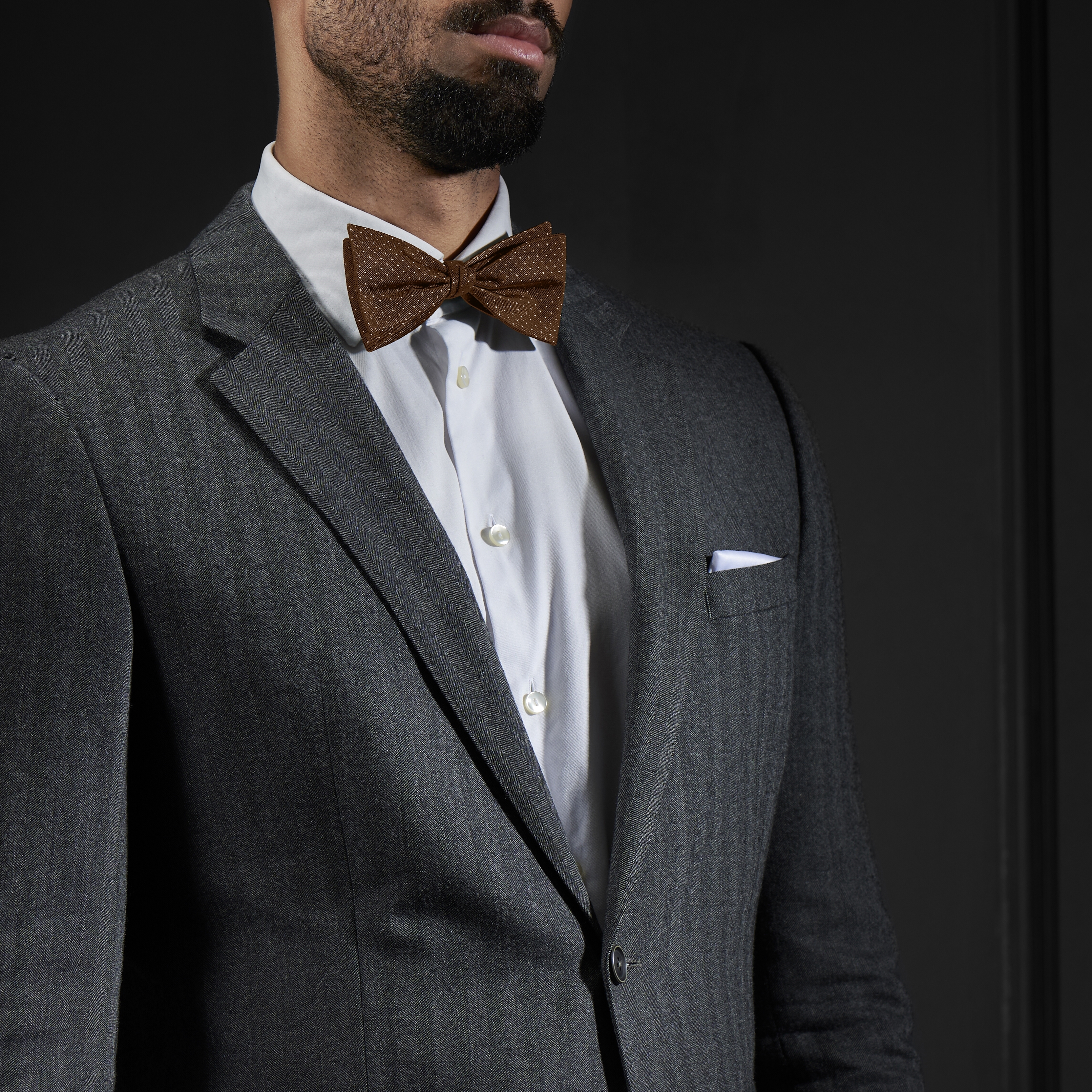 Brun Prickig Oknuten Sidenfluga - 4