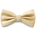 Champagne Pre-Tied Satin Bow Tie Champagne Pre-Tied Satin Bow Tie