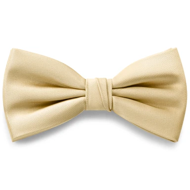 Vorgebundene Fliege aus Satin in Champagner Vorgebundene Fliege aus Satin in Champagner