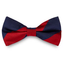 Navy Blue & Burgundy Stripe Silk Pre-Tied Bow Tie