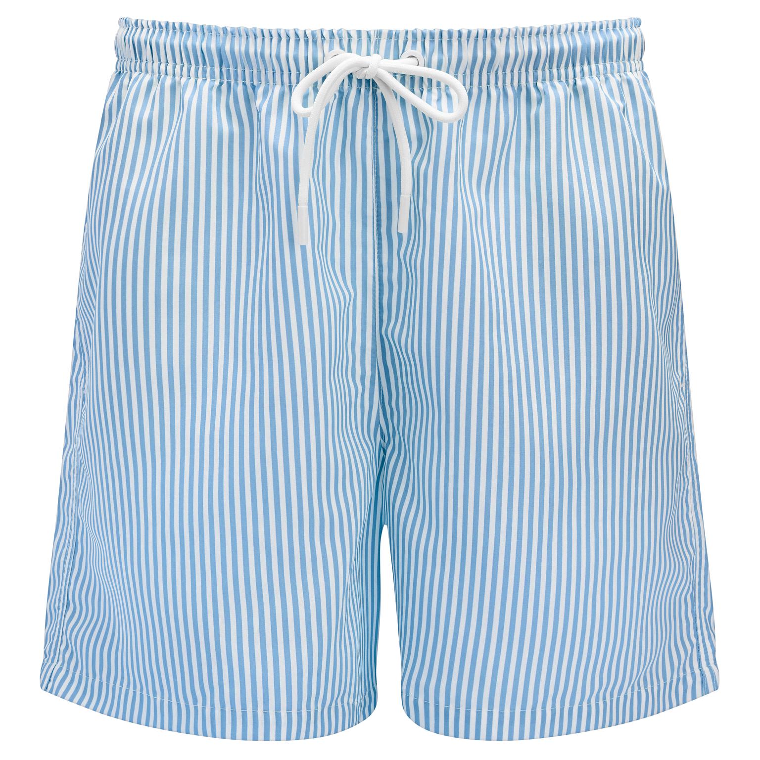Striped Blue & White Swim Shorts Striped Blue & White Swim Shorts