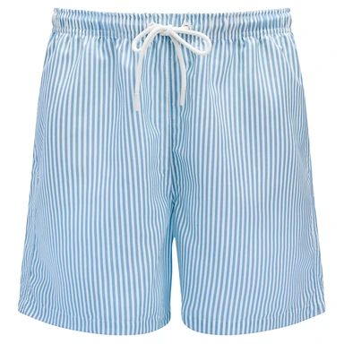 Striped Blue & White Swim Shorts Striped Blue & White Swim Shorts