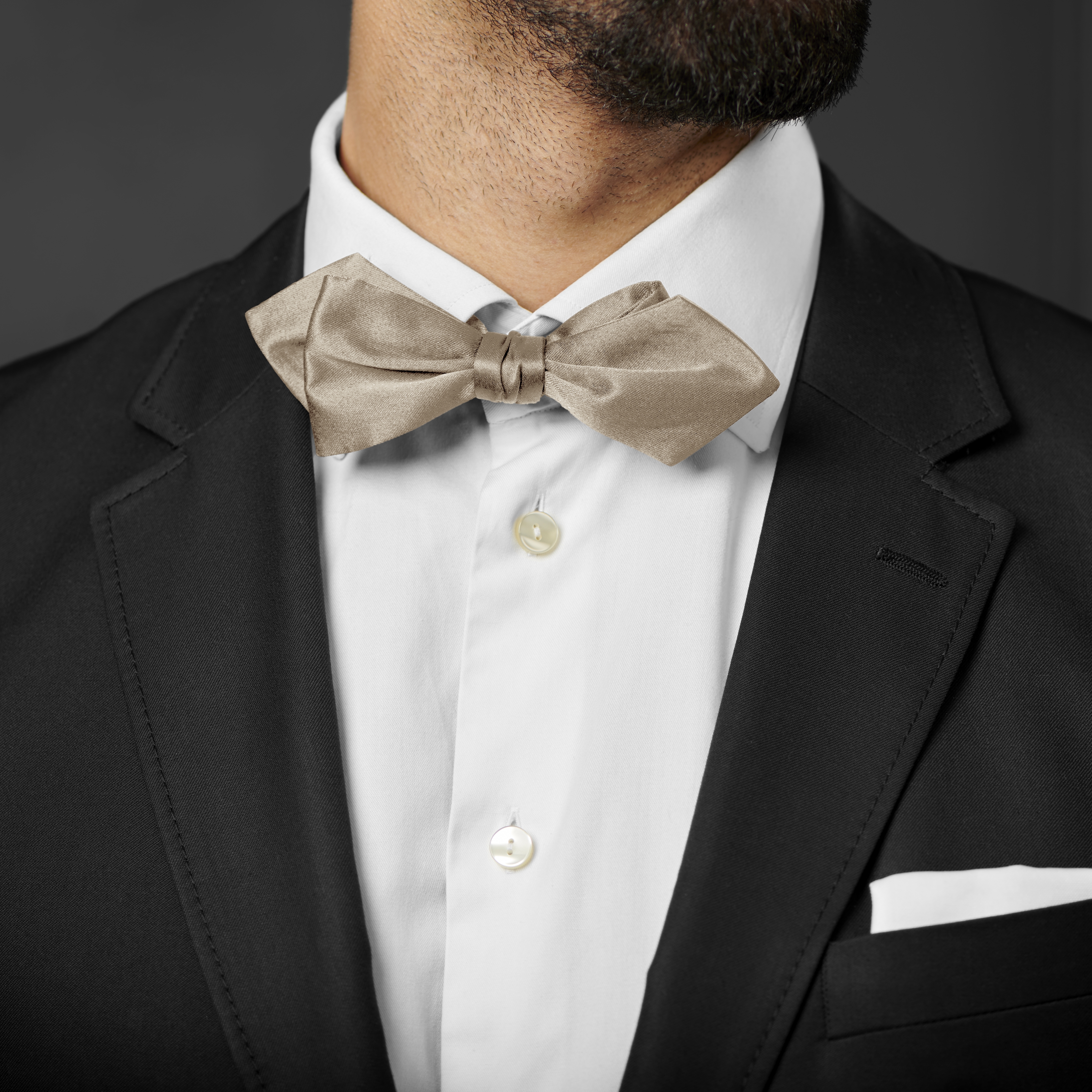 Shiny Champagne Basic Pointy Pre-Tied Bow Tie - 3