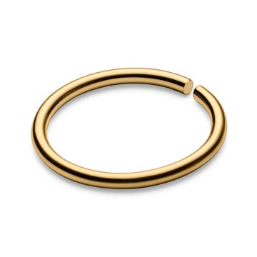 6 mm Seamless Gold-Tone Titanium Piercing Ring