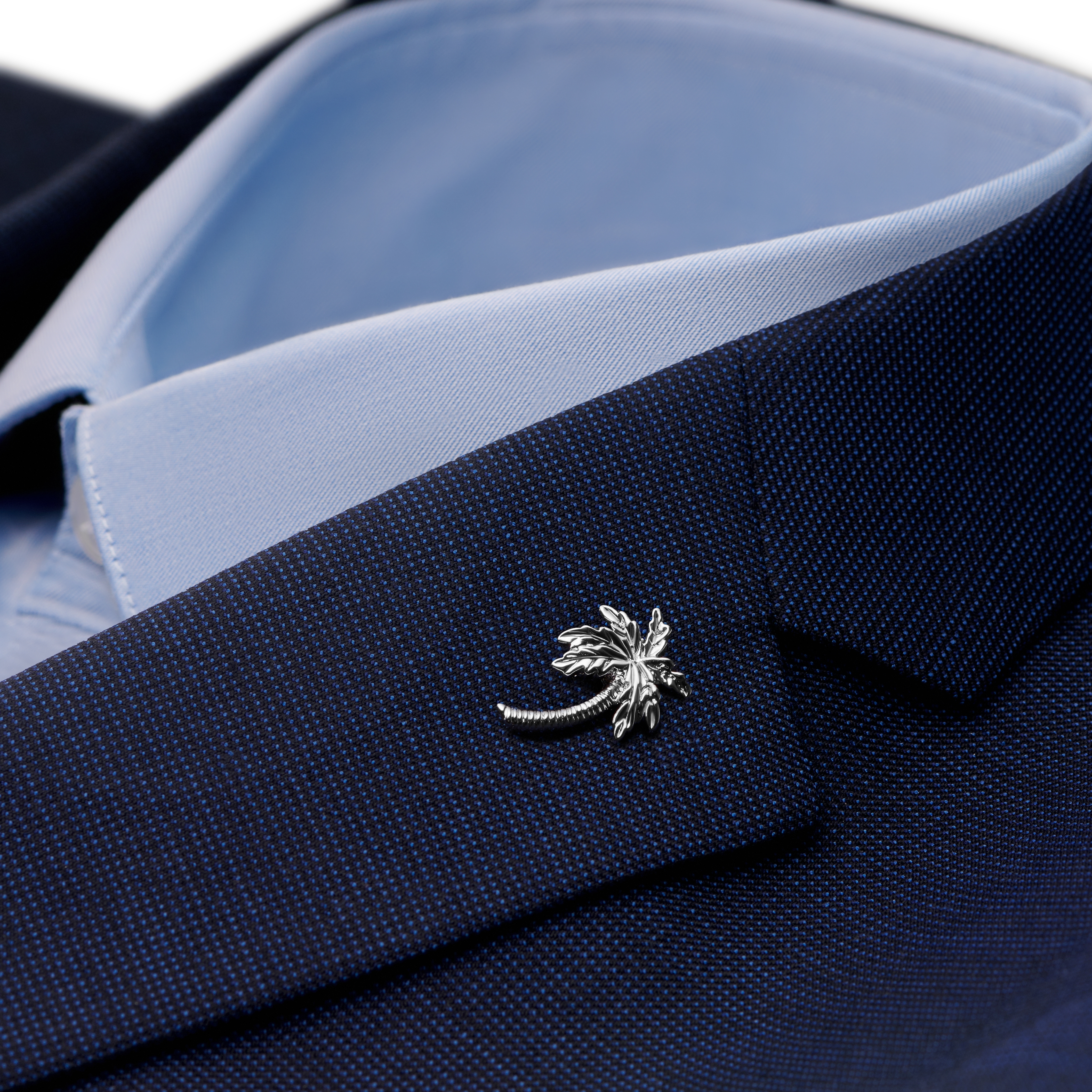 Dianthus | Hopeanvärinen palmurintaneula - 2