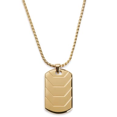 Icarus Rayder Guldfärgat Halsband med ID-bricka Icarus Rayder Guldfärgat Halsband med ID-bricka