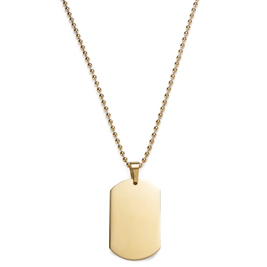 Guldfärgat Halsband med Dog Tag Guldfärgat Halsband med Dog Tag