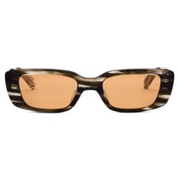 Neuzugänge Neuzugänge