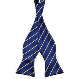 Berry Blue & Canary Yellow Single Striped Microfiber Self-Tie Bow Tie
