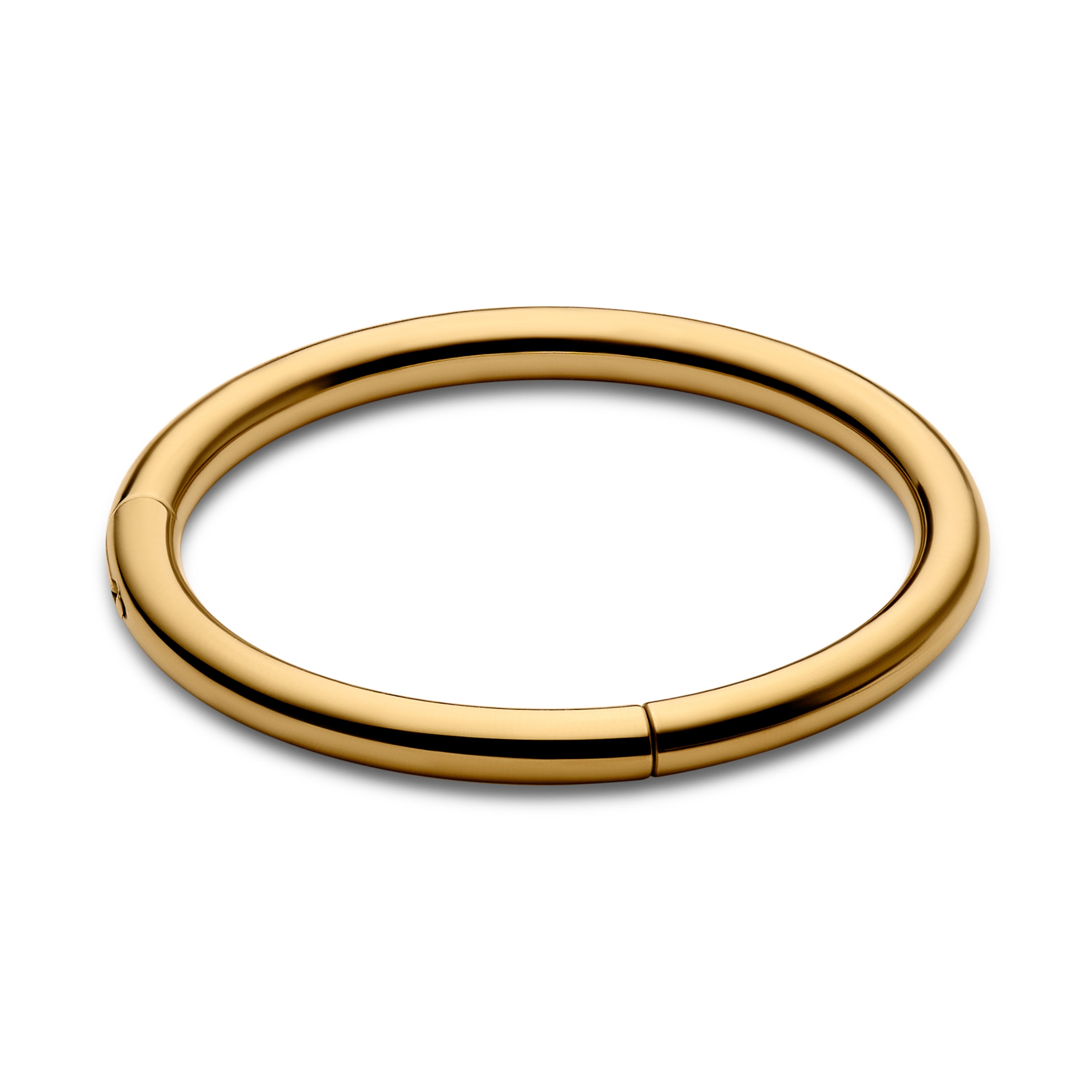 9 mm Guldfarvet Titanium Piercing Ring