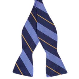 Pastel Blue & Gold Stripe Navy Silk Self-Tie Bow Tie