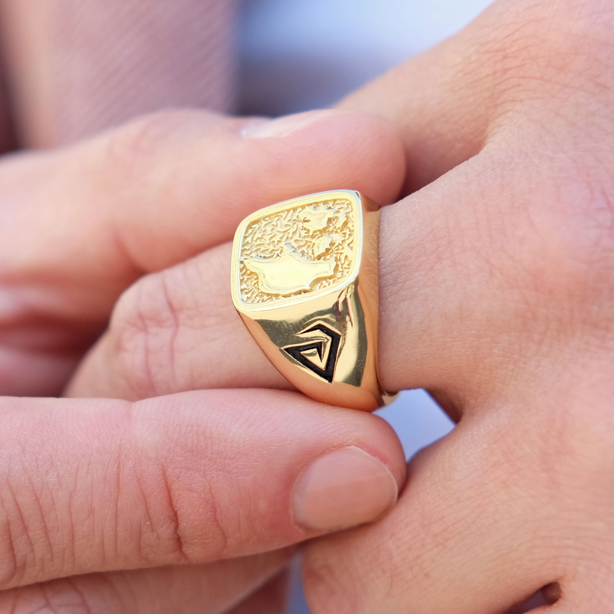 Danish Tribute Klasičen prstan v zlatu 925s - 5