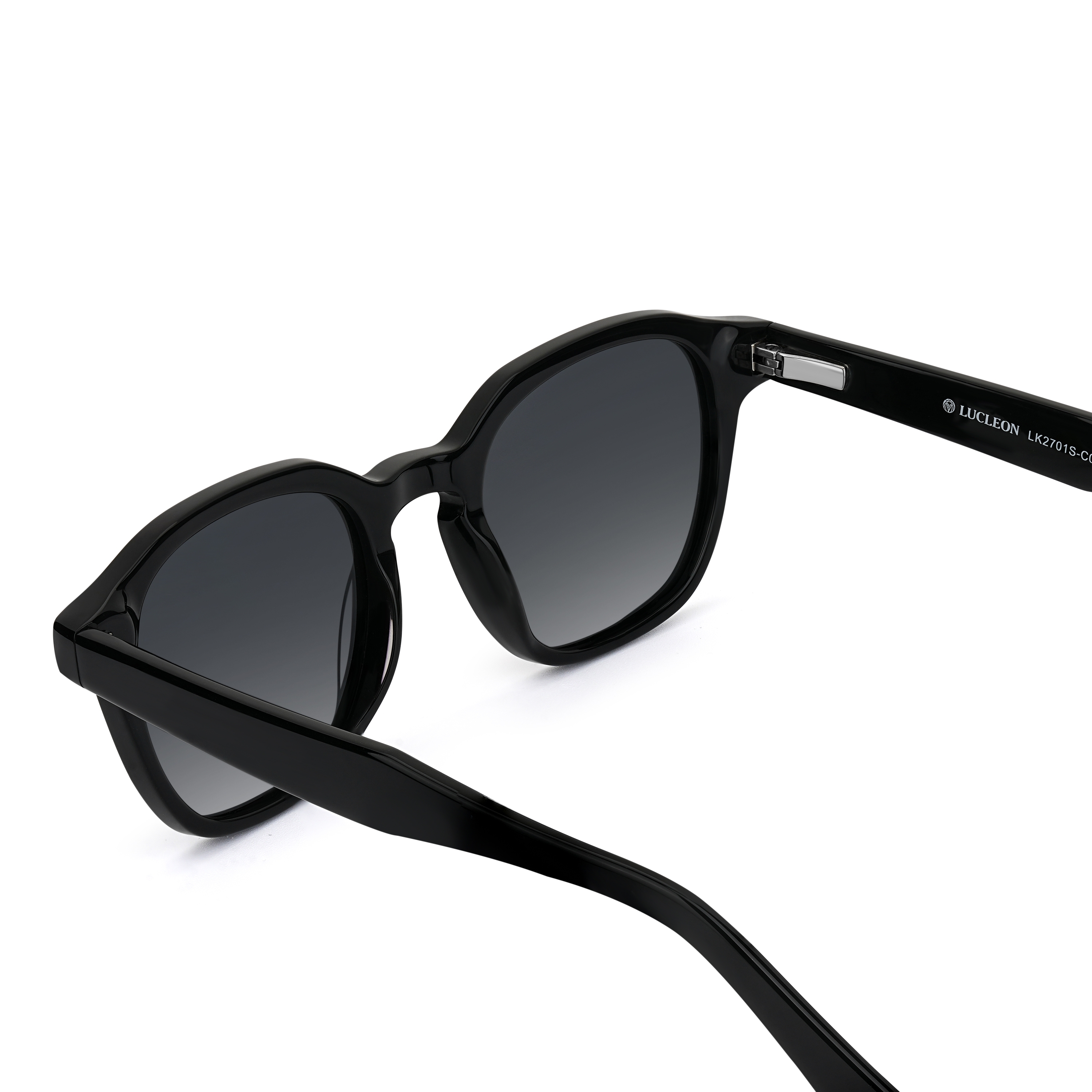 Black Geometric Horn-Rimmed Polarized Sunglasses | In stock
