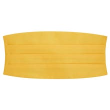 Yellow Bow Ties