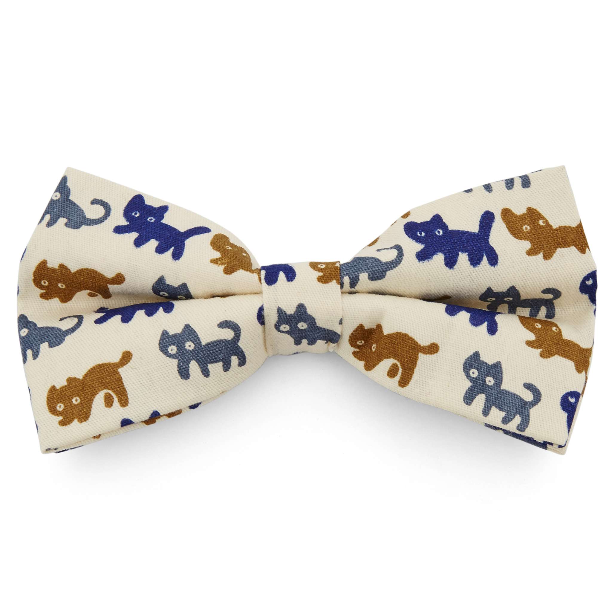 Piirretty Kissa Rusetti Varastossa Tailor Toki piirretty-kissa-rusetti-varastossa-tailor-toki