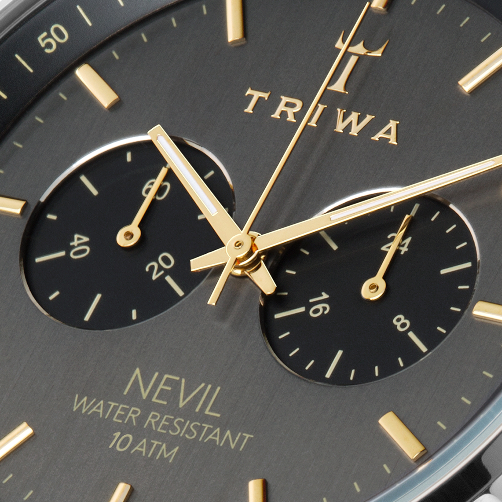 Smoky Nevil Octopus - 2