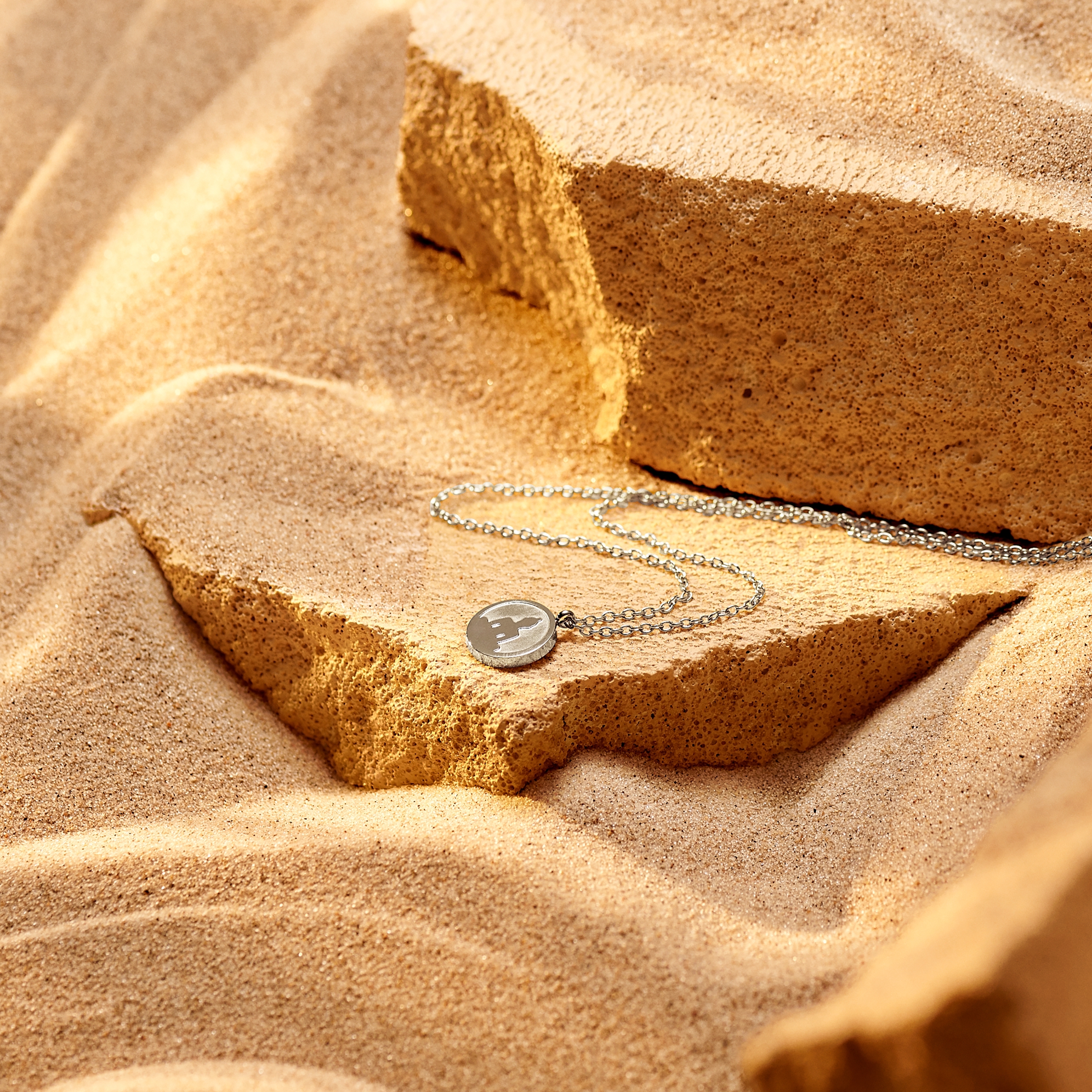 Unity | Collar con colgante circular de Buda plateado - 2