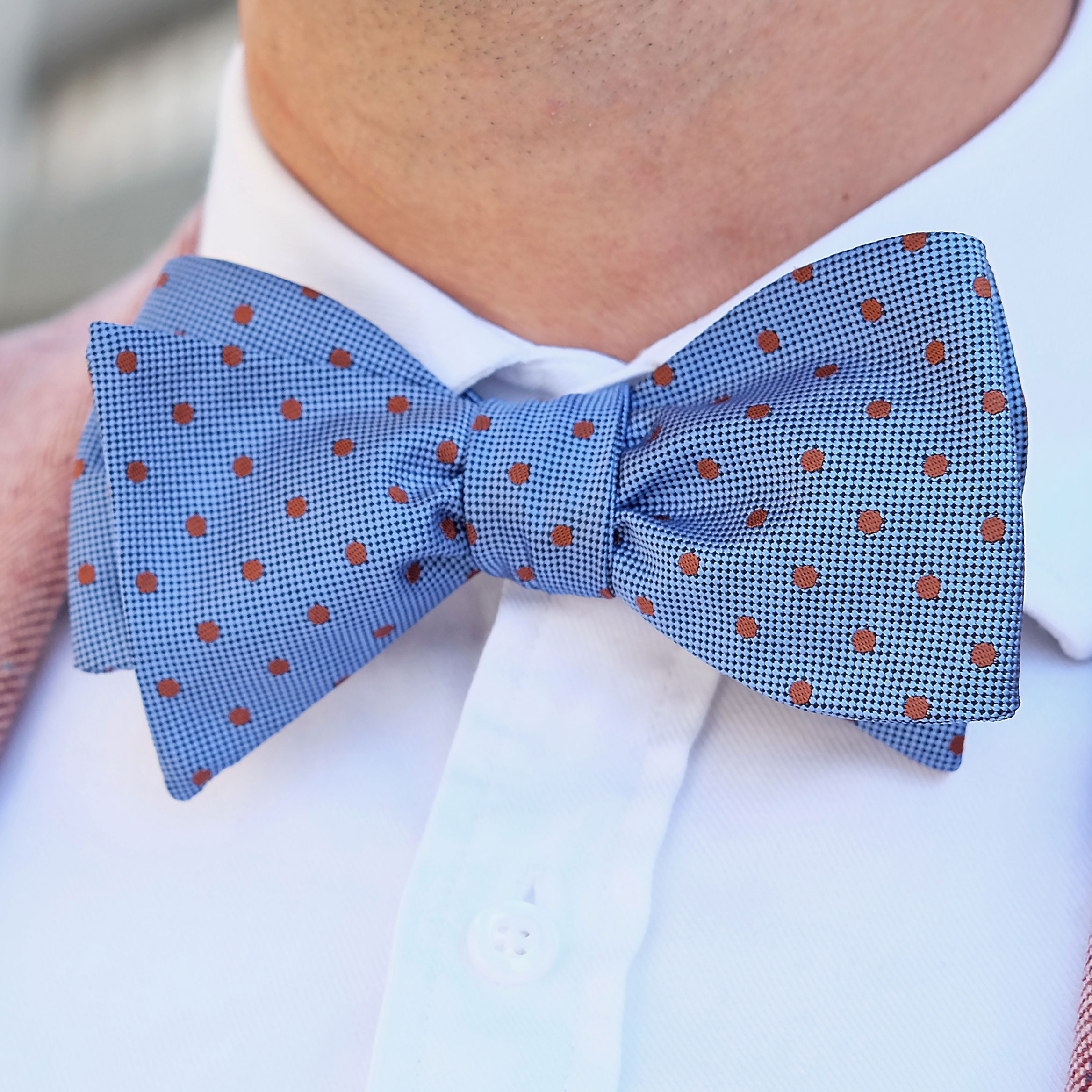 Papillon da annodare a pois - 3