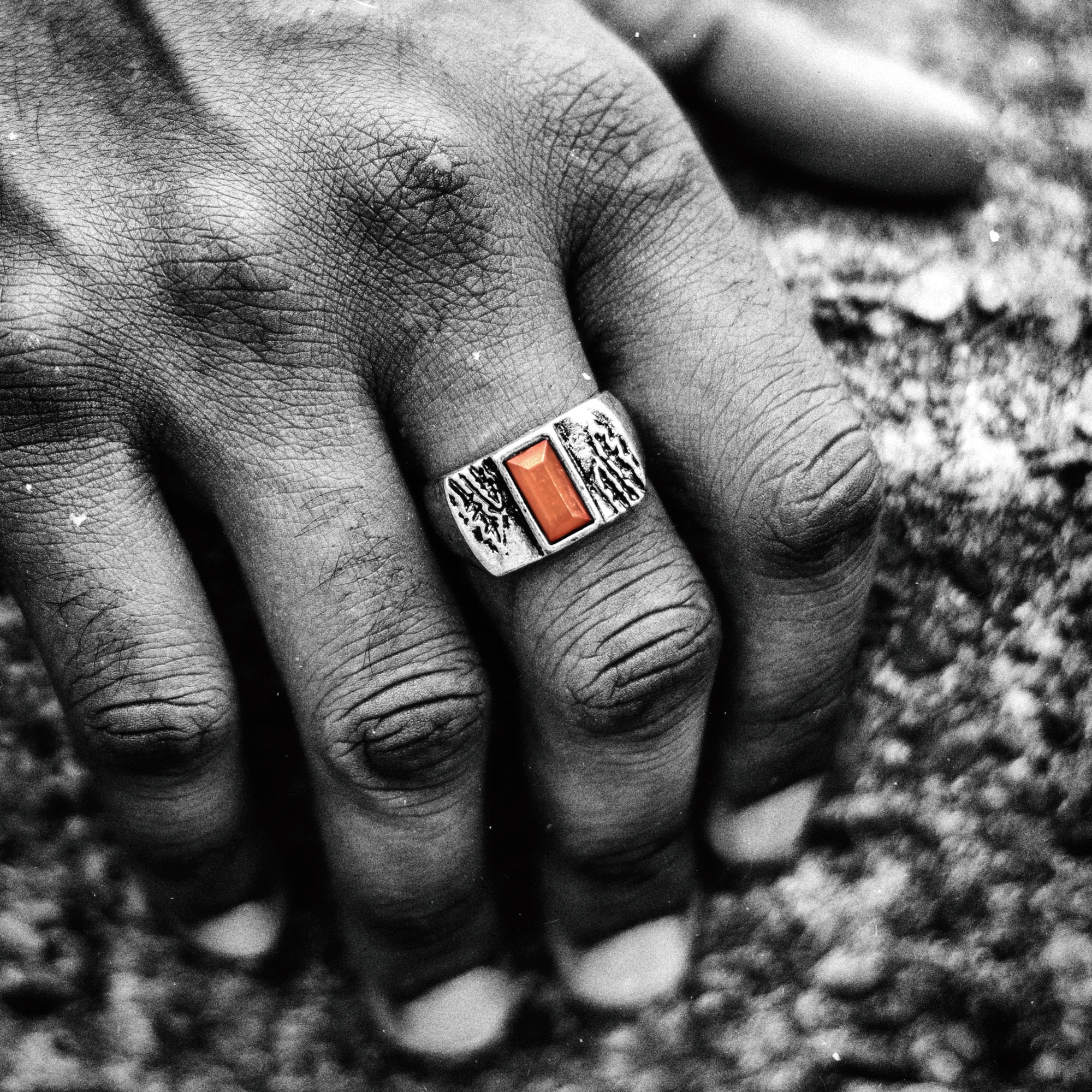 Coral Maloneyring - 5