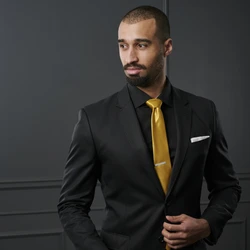 Basic Wide Shiny Gold Polyester Tie for Men - Solid color neckties Basic Wide Shiny Gold Polyester Tie for Men - Solid color neckties