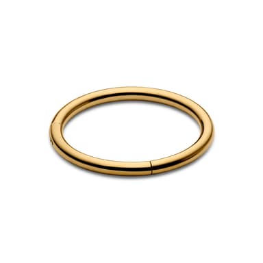 Piercing anneau couleur or en acier chirurgical 6 mm Piercing anneau couleur or en acier chirurgical 6 mm