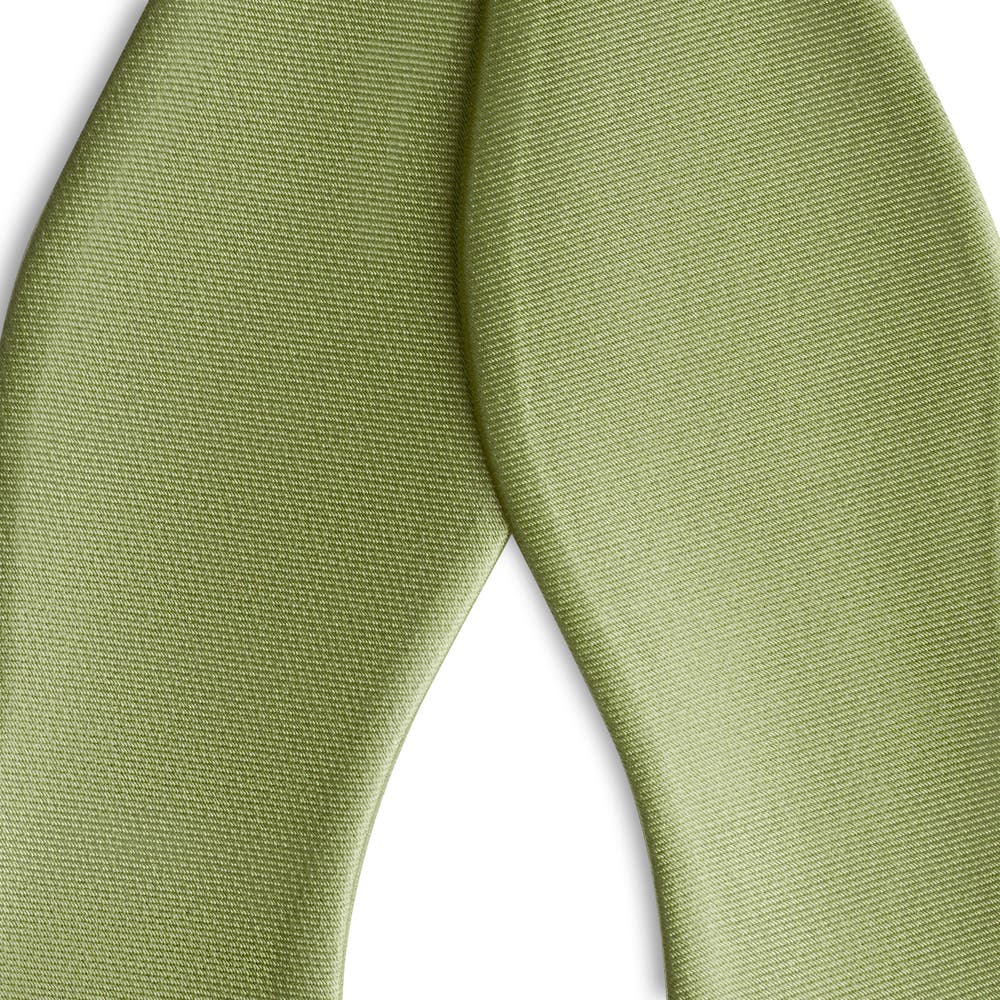 hover: Light Green Self-Tie Satin Bow Tie hover: Light Green Self-Tie Satin Bow Tie