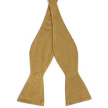 Papillon da annodare color oro