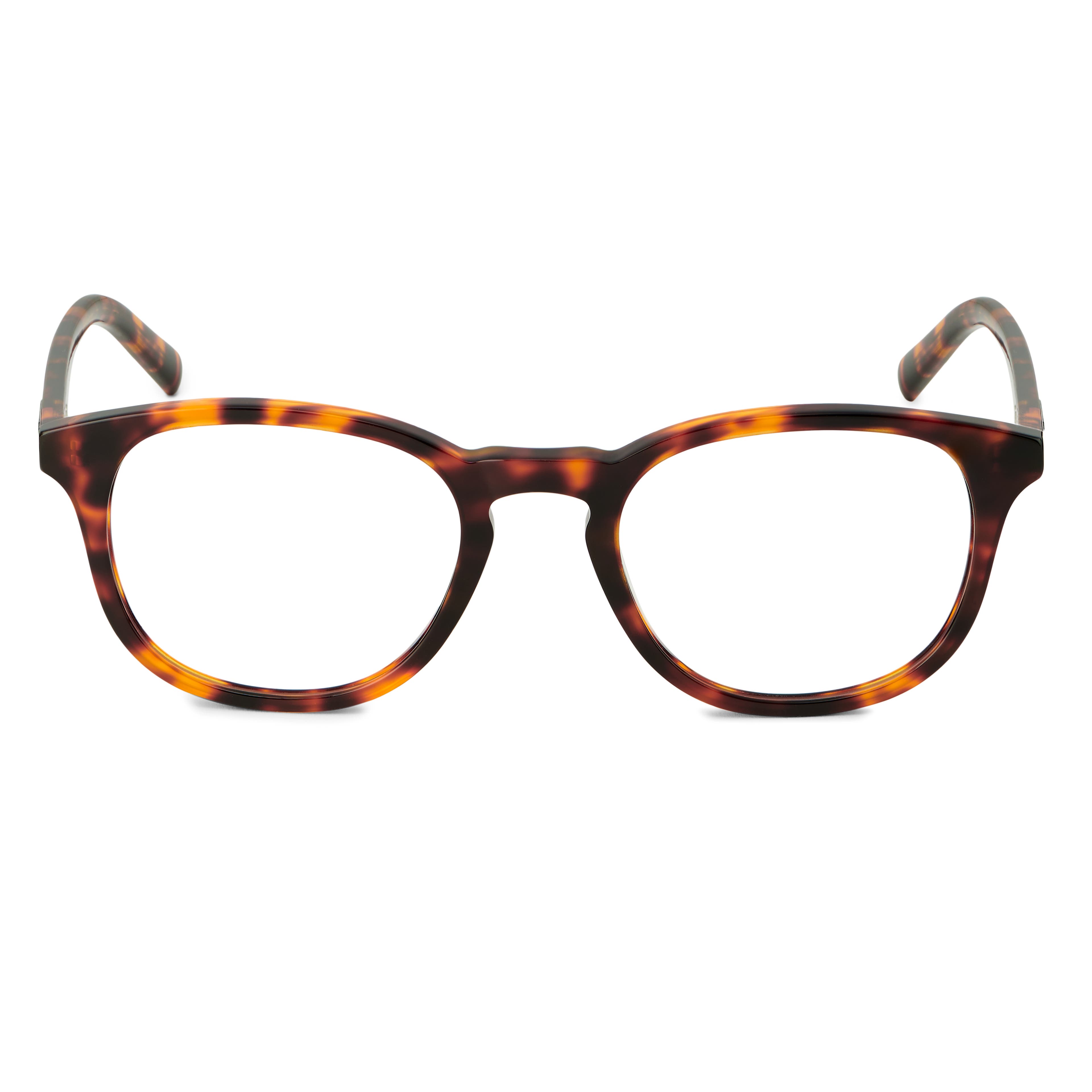 Warrick Thea Polariserede Briller i Tortoise Stel & Blålys-Blokerende Linser