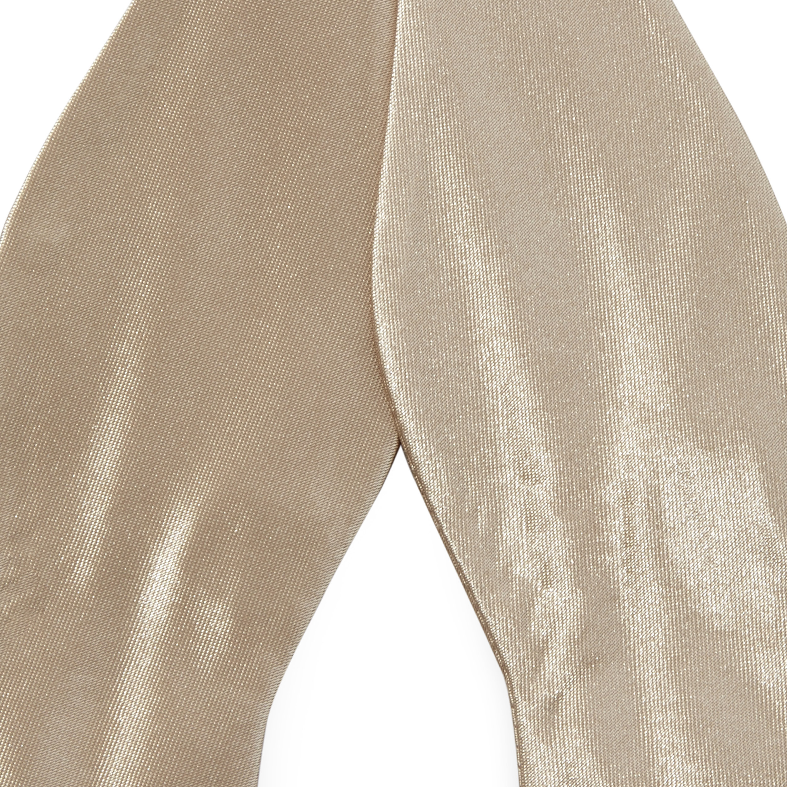 Lesklý viazací motýlik vo farbe šampanského Basic - 2