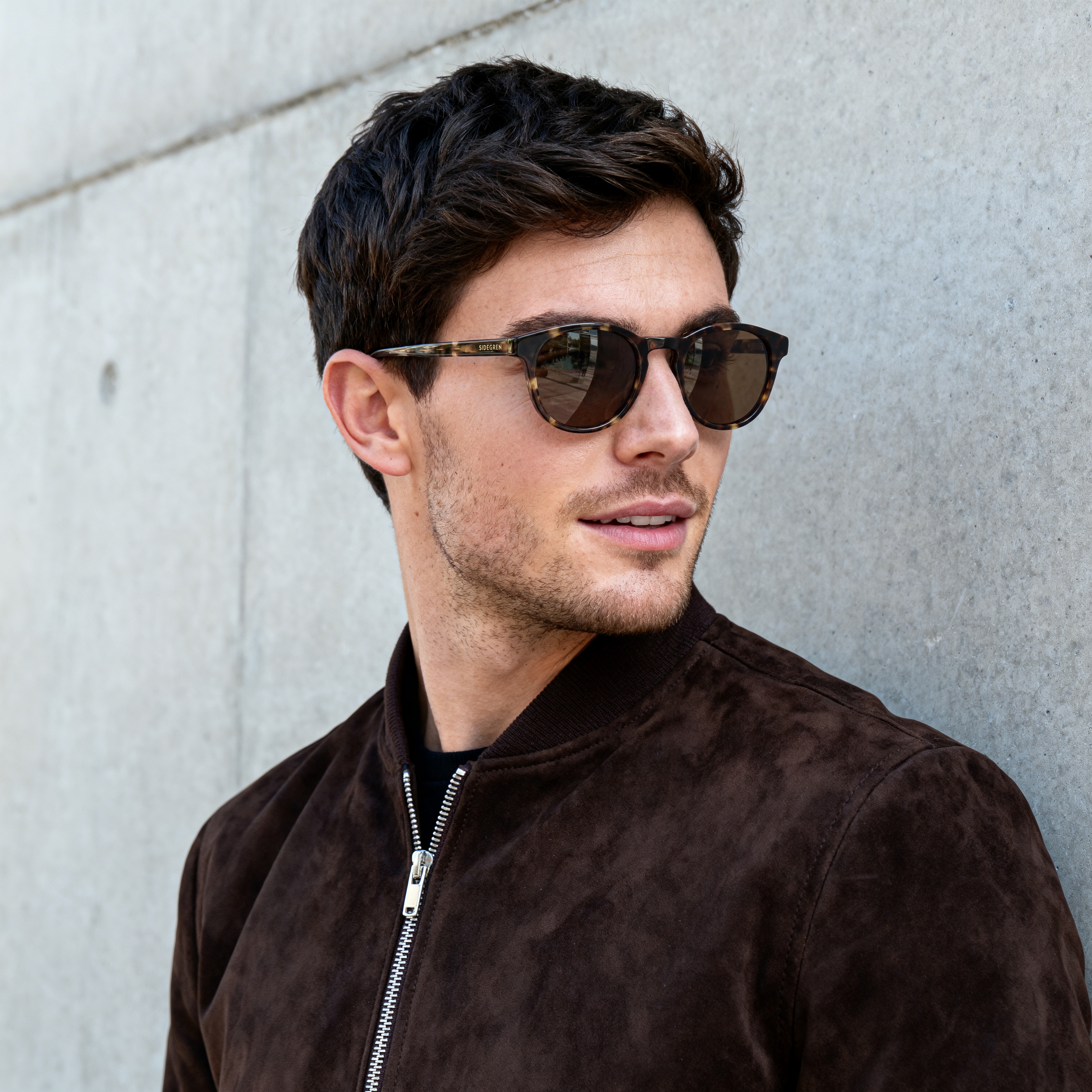 Classic | Brown Panto Sunglasses with Tortoise Frame - 4