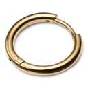 Goldfarbener Titan-Hoop-Ohrring Goldfarbener Titan-Hoop-Ohrring