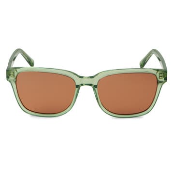 Wilmer Thea Green & Brown Polarised Sunglasses