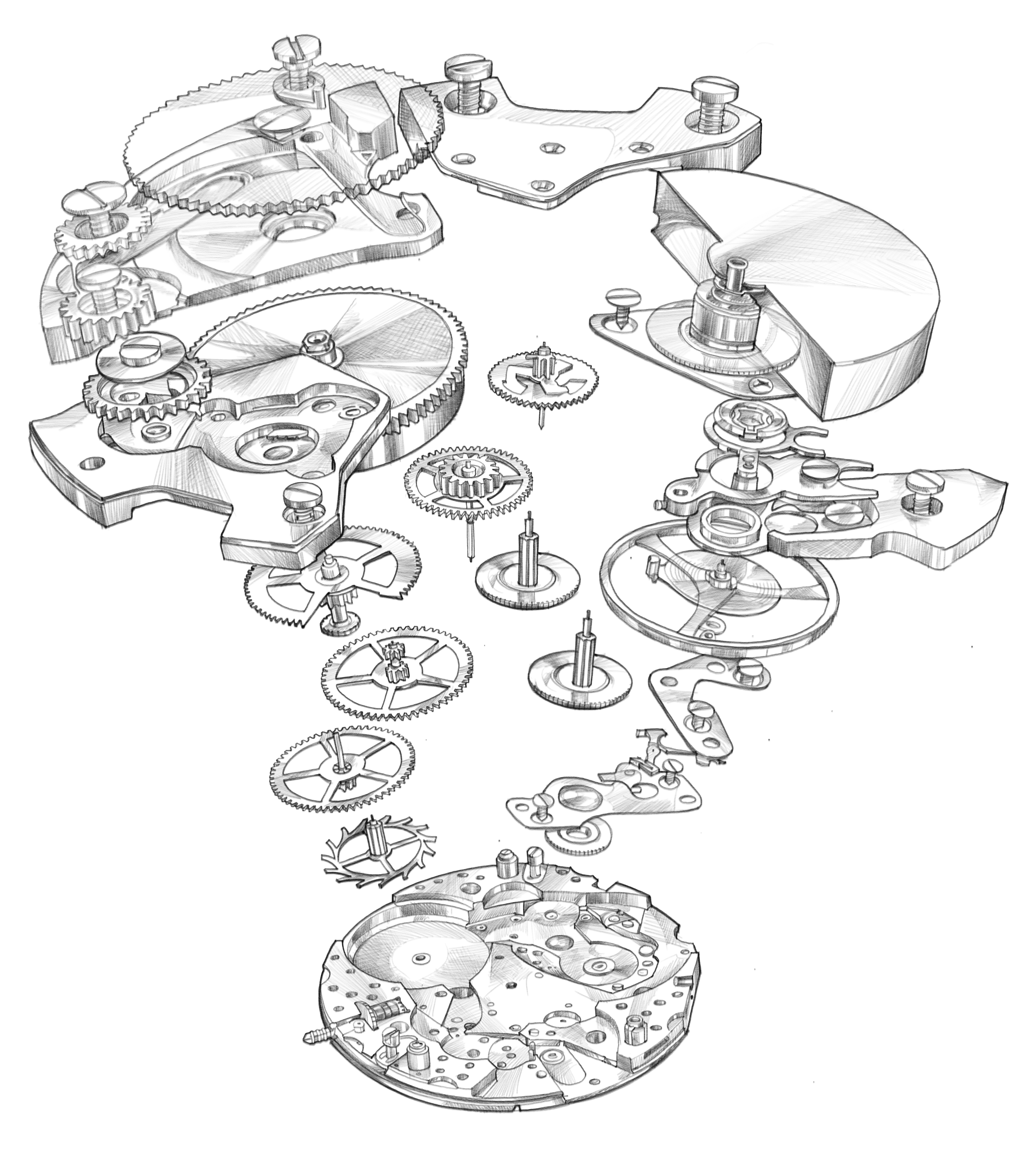 How to find the best Skeleton Watch for you 4 Questions to Ask Trendhim