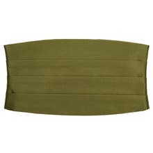 Зелени пояси